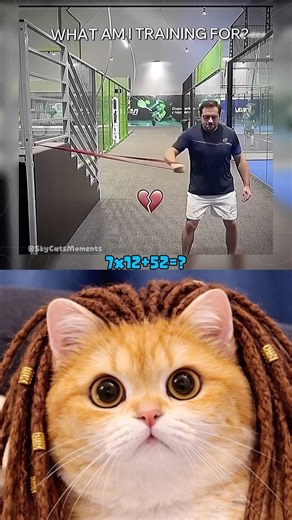 Necessary training😅 #trending #shortvideo #funny #cat #memes #youtubeshorts