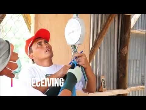 Semi washed - Coffee Processing Method