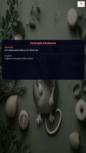 Maus - The German Word for Mouse | Learn German #Shorts