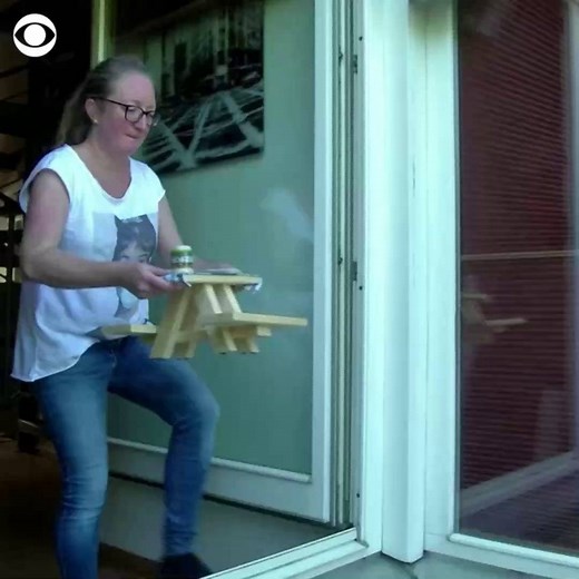 This curious German squirrel now has its own miniature beer garden thanks to a 10-year-old boy — and it is simply nuts about it. https://cbsn.ws/2WRpTGV | CBS News