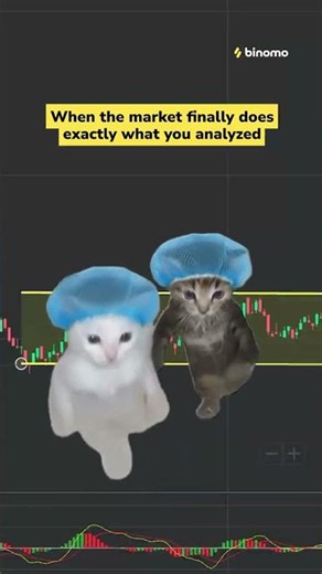 That moment when the chart actually does what you analyzed 🐱