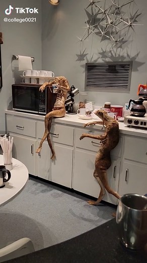 Men in Black Alien Encounters: Coffee Worms and Skinny Aliens