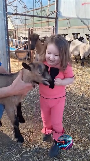 Babies Vs Pets 😂😍 #viral | Fast Lane Fusion