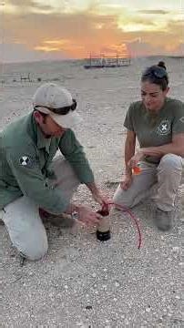 This Is my EXPLOSIVE Fire Cheese #pyrotechnics #specialeffects #explosion