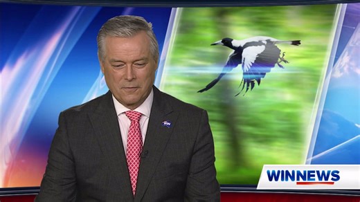 A Canberra scientist's latest experiment has gone viral - combining her love of cycling and birds. #WINNews | Channel 8 & 80 (HD) Weeknights from 5:30pm | WIN News Albury