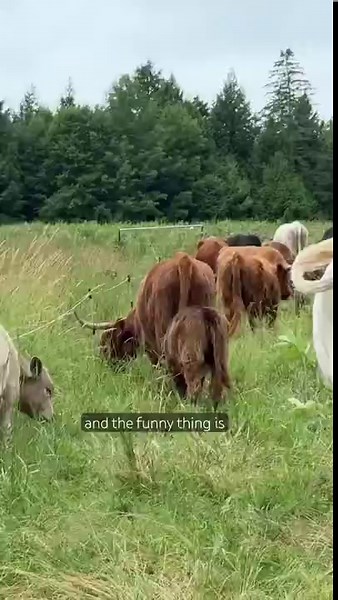 Transform your daily farm chores