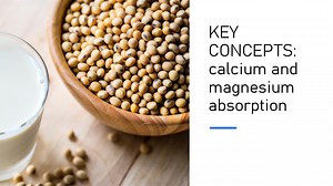 Key Concepts: Calcium and magnesium absorption