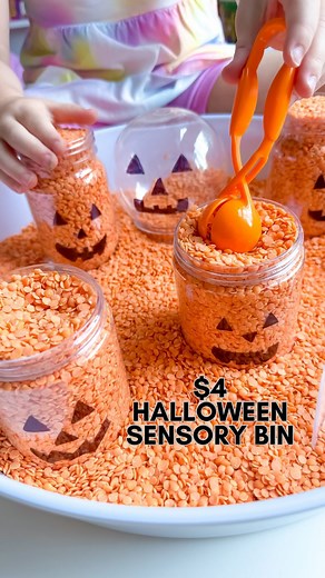 Kimberly | Lily & Ivy Learning on Instagram: "🎃Halloween Scoop & Pour🎃 The easiest & most inexpensive sensory bin filler- red lentils! Seriously the most perfect fall sensory bin filler straight from the bag! Around $2 a bag! ‼️reminder only use lentils for older kiddos who aren’t mouthing ‼️ You can find them in your local grocery store. Here we just threw a couple of bags in and I added containers with drawn on jack o’ lanterns to make it extra fun to scoop & pour. 🎃🎃🎃 Would you try this