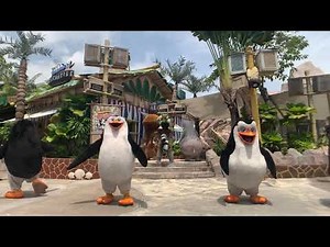 10Feb2020 13:30 Madagascar boogie