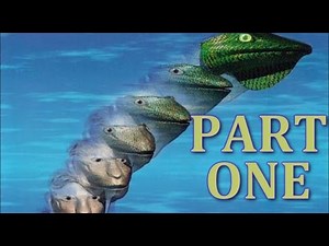 Opinionated Animorphs Book Guide - #1 The Invasion (1/2)