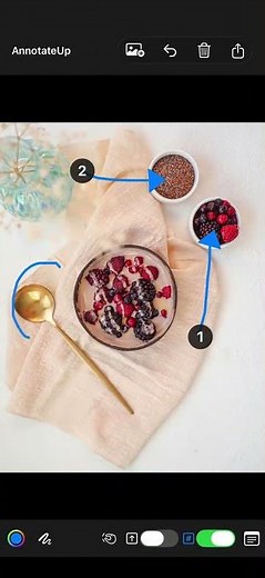 Annotating an image in AnnotateUp: Toggle Arrows On and Off