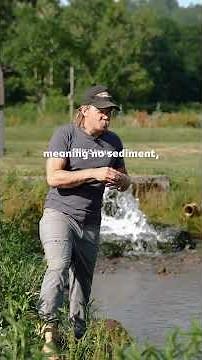 How an ideal trout pond should be set up 🐟