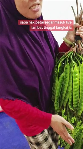 Live Petai Segar yang Besar dan Murah