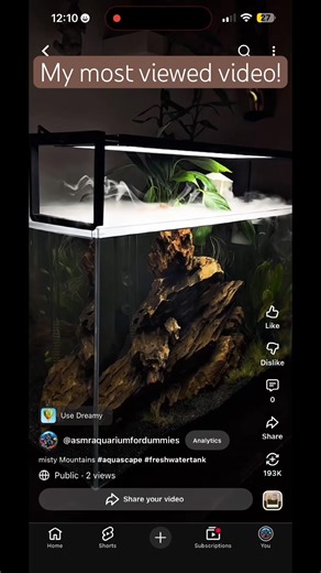 most viewed misty aquarium #aquascape #freshwatertank