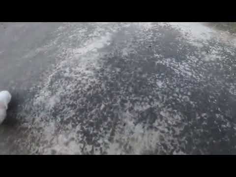 The Secret Behind Xiaomi's Creation: Discover the Story in This Viral Song