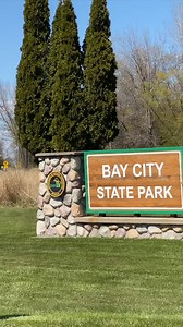 Immerse yourself in the serene beauty of Tobico Marsh (located at Bay City State Park) with breathtaking wildlife! 🦌 🦆 🐦 Friends of the Tobico Marsh | Go Great Lakes Bay