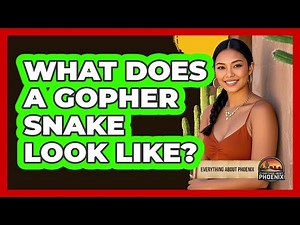 What Does a Gopher Snake Look Like?