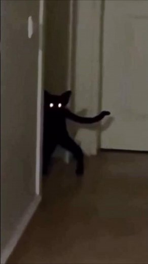 Creepy cat meowing story😱#youtubeshorts #shorts #cat #horror #viral #creepycat