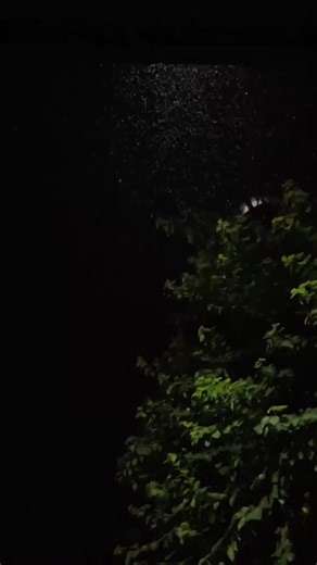 𝐀🕊 on Instagram: "The 99 beautiful names of Allah (Asma-ul-Husna) remind us of His mercy, power, and greatness. Recite them, reflect on them, and bring peace to your heart. 🌸 #Allah #AsmaUlHusna #99NamesOfAllah #IslamicReminder #Quran #Hadith #IslamicQuotes #Peace #IslamicVideo #Muslim #IslamicPost #Spirituality #Dua #Faith #IslamicContent #JummaMubarak #IslamicReels #Sunnah #IslamicReminders #zikr"