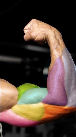 Top YouTube Video for July - 10 Best Exercises for Building Bigger Arms - watch in the link