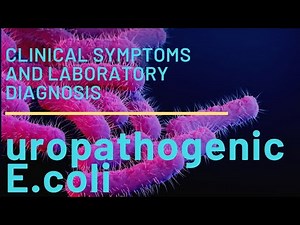 Uropathogenic E.coli part --3 -- UTI , clinical symptoms of UTI,and laboratory diagnosis