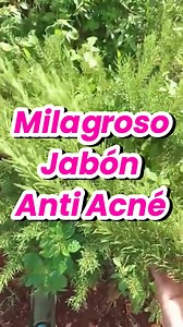 13K views · 311 reactions | Jabón vegano para piel grasa ✨...