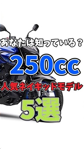 [If you're undecided about which current model to choose, check these out] 5 recommended 250cc na...