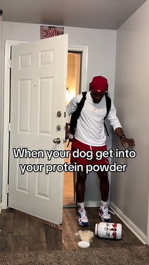 Dog Eats Protein Powder — What to Do When Your Dog Gets into Supplements