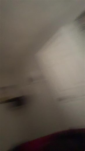 Unique Food Experience: Eating Raccoon Meat