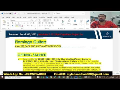 Illustrated Excel 365/2021 Modules 9-12 SAM Capstone Project 1a | Flamingo Guitars