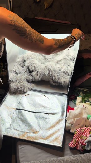 Best Portable Photo Box for Selling Products