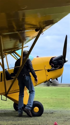 Back and Better than Ever: Annual J3 Piper Cub Aviation Update