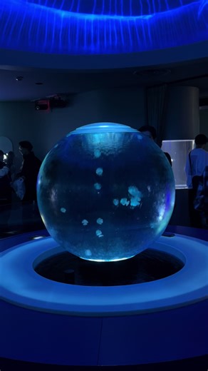 江ノ島水族館：景色と自然を満喫
