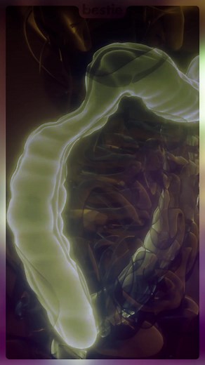 14 Effective Ways You Can Maintain A Healthy Colon - #reels - FULL VIDEO IN COMMENTS | Bestie