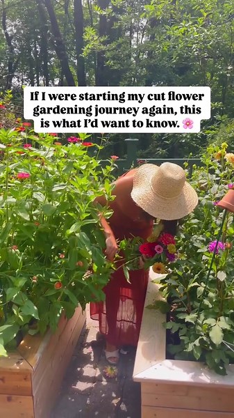 Beginner’s Guide – Essential Cut Flower Gardening Tips