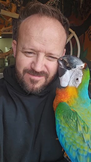 Paradise Parrot Rescue on Reels