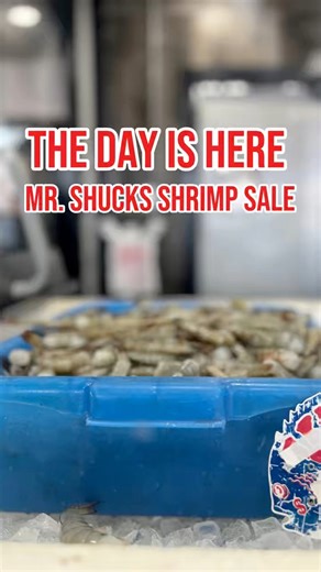 14K views · 257 reactions | 戀 THE DAY IS HERE! Mr. Shucks’ Shrimp Sale starts as soon as the doors open at our BWK location!Fresh shrimp, $6 per pound — don’t wait, don’t blink, just pull up.Let’s make this one for the books.107 Altama Conn, Brunswick GA #MrShucksSeafood #ShrimpSale #BrunswickGA #FreshCatch #ShucksBWK | Mr. Shuck’s Seafood | Facebook