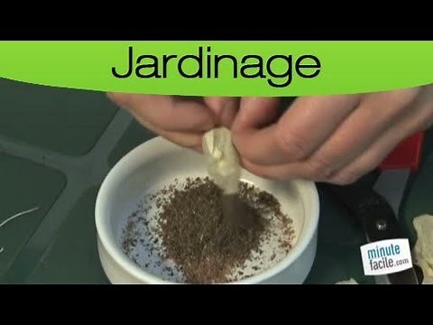 Jardinage : acidifier votre sol