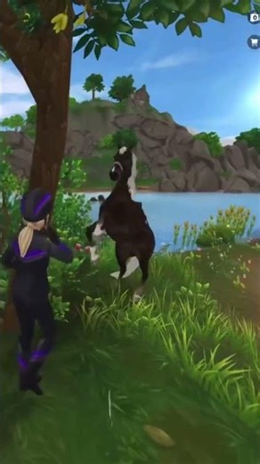 My horse is fading for no reason ! #sso DAILY-170