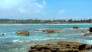 Advanced Placement Videos: Download 73+ Free 4K & HD Stock Footage Clips - Pixabay