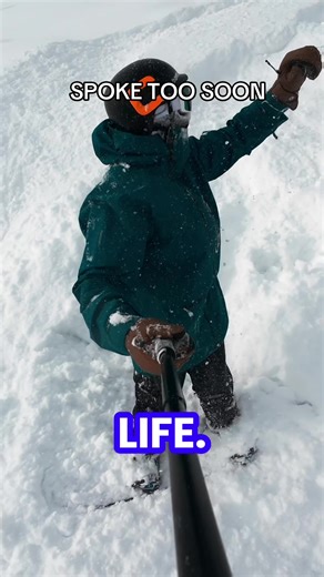 Unexpected Tree Encounter in Japan's Countryside