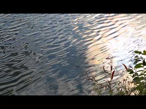 Guided Meditation to Manage Stress with Deepak Chopra