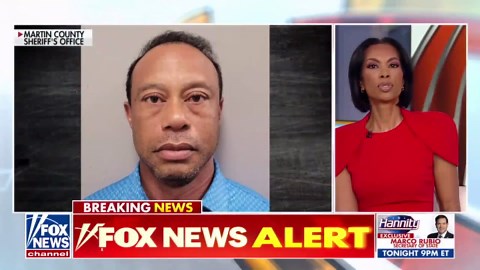 Tiger Woods' DUI arrest, legal challenges spark panel debate