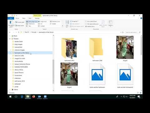 Computer Basics: Files and Folders