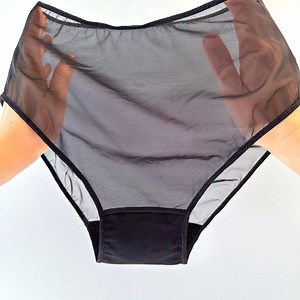 Plus Size Sheer Panty in Various Colors - Etsy