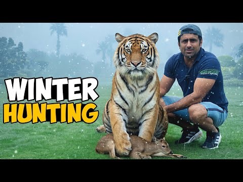 TIGER IN SMOKE SEASON 😱 | Farm Ka Winter Drama