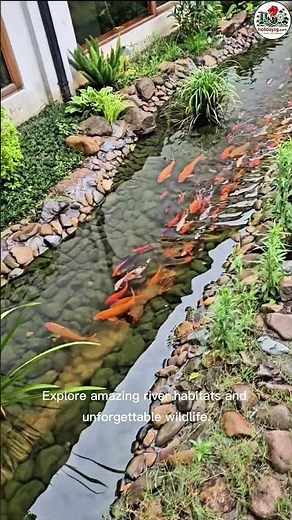 You MUST See River Wonders Singapore! 🐼 Amazon River Adventure & Pandas 2026