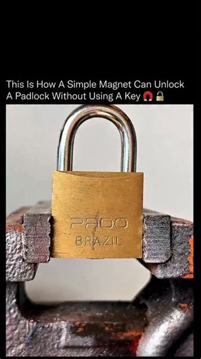 ✧A✧ on Instagram: "A strong magnet can defeat certain padlocks in seconds 🧲⚠️ Some lower-complexity locks use spring-loaded internal pins made from ferromagnetic metals. When a powerful magnet is placed on the lock, it can pull those pins upward, mimicking what the correct key is designed to do. Instead of rotating tumblers mechanically, the magnetic force bypasses the locking mechanism entirely, allowing the shackle to release without cutting, picking, or damage. This is why modern security de