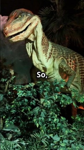 How did all the dinosaurs die?