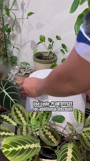 Easy To Clean Humidifier, Stainless Steel Humidifier #ad #humidifier #plants